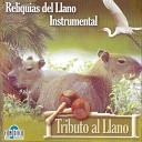 Los Hermanos Ramirez - El Gaban Instrumental