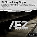 BluSkay - Long Way Home Original Mix