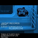 Plusgroove - Something In My Life Original Mix