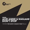 Acid Andee Manjane - Don t Stop Original Mix