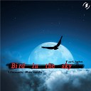 FarLight - Bird In The Sky Original Mix