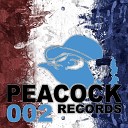 Dr Peacock Repix - Out of My Fucking Mind Original Mix