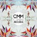 Anton Ishutin Flashingroof - New Day Original Mix