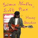 Science Noodles feat Soft Pine - Honey Quarantine