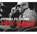 29 Pitbull Feat T - Pain Hey Baby