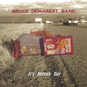 Bruce Demarest Band - The Hard Knocks For Lost Souls Balladeer