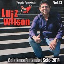 Luiz Wilson - Aconteceu o Amor