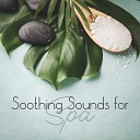 Relaxing Music Sleep Sound Library - Therapeutic Touch