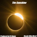 Dr House - The Sunshine Original Mix