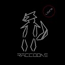 Raccoons - Calif