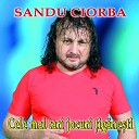Sandu Ciorba - Nu Ma Bate Vantule