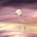 Charmiz - Nope