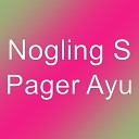 Nogling S - Pager Ayu