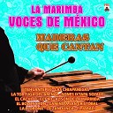 La Marimba Voces de M xico - La Tortuga del Arenal