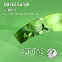 David Surok - Dream Peter Smith Remix