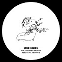 Etur Usheo - Down In The Groove Original Mix