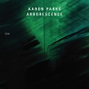 Aaron Parks - Asleep In The Forest