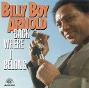 Billy Boy Arnold - Fool For You