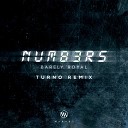 Barely Royal - Numbers Turno Remix