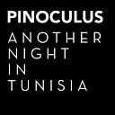 Pinoculus - A Night in Tunisia