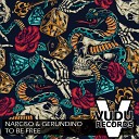 Narciso Gerundino - To Be Free Original Mix