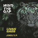 Livan Gaos - In Da House Original Mix