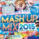 Tensnake Hercules Love Affair Robin S - Mainline Dub Do You Feel the Same Todd Terry Acapella Show Me Love Stonebridge Club Mix feat…