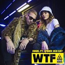 Hugel feat Amber Van Day vs DJ Tarantino DJ… - WTF VeX Mashup
