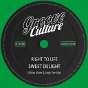 Right To Life - Sweet Delight Micky More Andy Tee Radio Edit