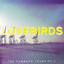 Lovebirds - Coming Back for More