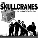 The Skullcranes - Cum On Feel the Shortbus