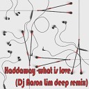 Haddaway - What is love Dj Aaron Lim deep house remix