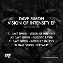 Dave Simon - Quixotic Raver Original