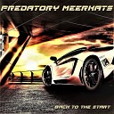 Predatory Meerkats - Flight Into Eternity Original Mix