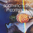Raindrops Healing Music Universe - Trickling Stream