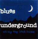 Blues Paradise - Blues Underground St James Infirmary