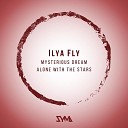 Ilya Fly - Mysterious Dream Original mix Preview