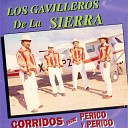 Los Gavilleros De La Sierra - El Corrido de Luis Carlos