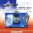 Cante Usted - Medley Vida Mia Al Pasar Esa Edad Que Me Importa el Sol Yo Que No Vivo Sin Ti Una Noche de Verano Instrumental…