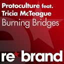 Protoculture - Burning Bridges Original Mix
