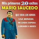 Mario Saucedo - Qui n Fuera el Tren