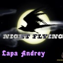 Lapa Andrey - Night Flying Original Mix