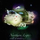Northern Lights - Fortune