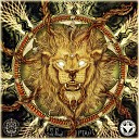 Le Lion - The Universe Is Music