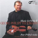 Petr P ibyl - Fantazie pro violu XII in D Sharp Minor…
