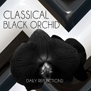 Black Orchid Collection - 6 Variations for Piano on Nel cor piu non mi sento from La Molinara in G Major WoO 70 Harp…