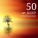 Deep Sleep Hypnosis - Therapy Dog