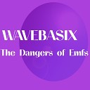 Wavebasix - The Dangers of Emfs