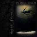 Spiritual Prison - Reflection
