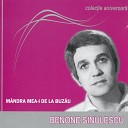 Benone Sinulescu - De S Ar Face Dealul es